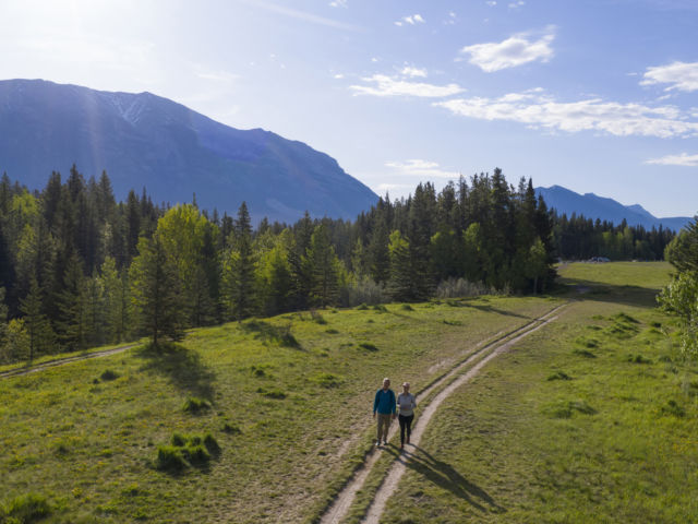 Mature couple walk on trail through grassy meadow